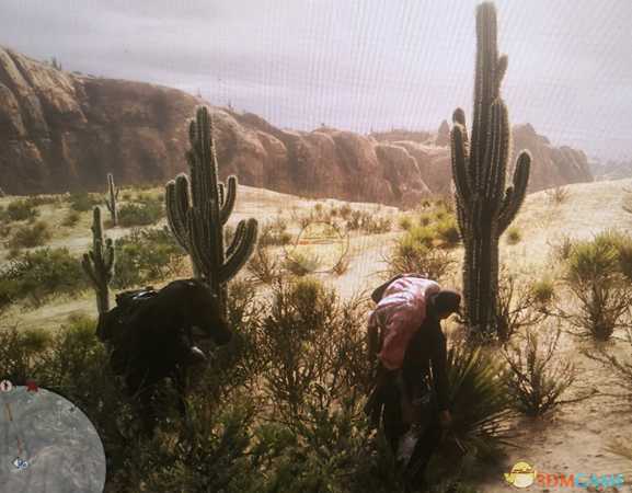 《荒野大镖客2》线上模式刷山狮位置分享