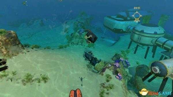 美丽水世界宠物养殖方法 美丽水世界如何饲养宠物