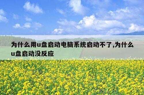 为什么用u盘启动电脑系统启动不了,为什么u盘启动没反应