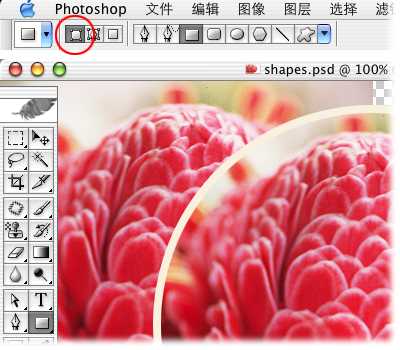 Photoshop入门:各种形状工具绘制形状