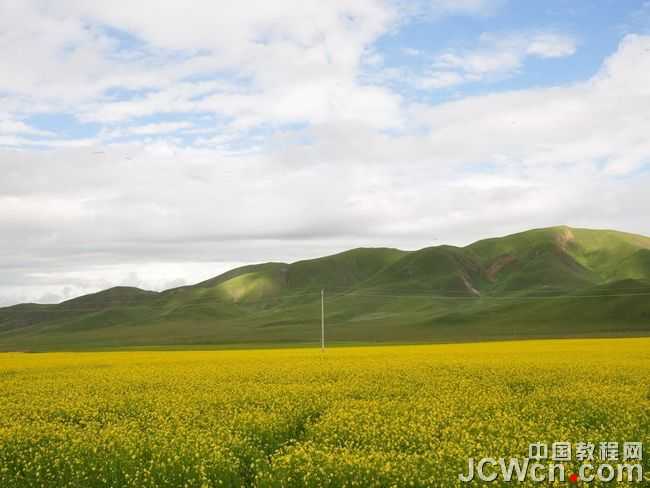 photoshop 坐在绚丽野花中的女孩合成方法