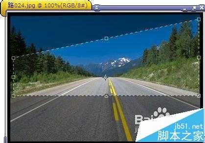 coreldraw怎么裁切图片?cdr裁切位图的详细教程