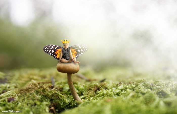 PS合成长着翅膀坐在蘑菇上的可爱天使