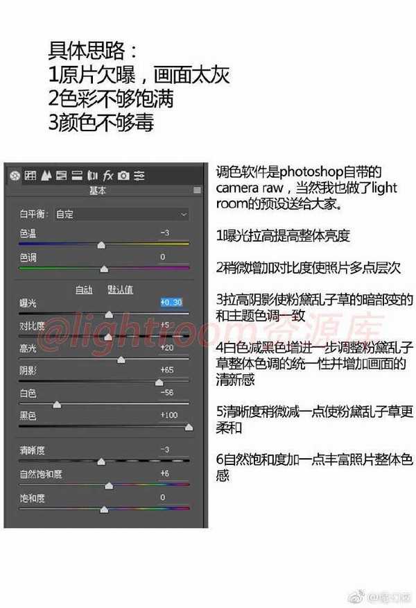 ps后期如何把灰蒙蒙的粉黛乱子草调成清新的仙女粉?